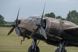 The Blenheim looked stunning sitting out on the grass during the afternoon.