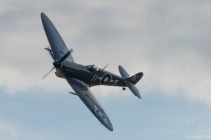 An undoubted highlight of the Spitfire finale, the Seafire III.